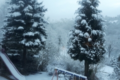 20170116_081645