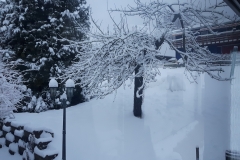 20170116_081812