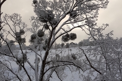 20170116_093715