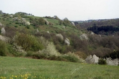Adscheider Tal