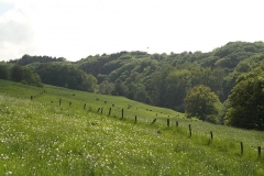 Limersbachtal Adscheid