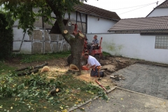 IMG-20160903-WA0001
